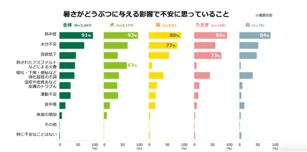 91％の飼い主が愛犬の熱中症を心配。猛暑の夏に、わんこのための夏バテ対策メニューを８月３日（月）より提供開始 画像 2