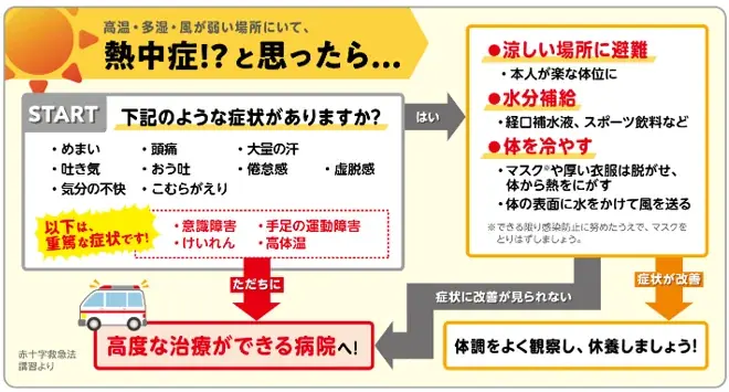 【令和８年熊本地震】８月３日は「酷暑日」予想 暑さが続く避難生活で熱中症リスクに注意 画像 4