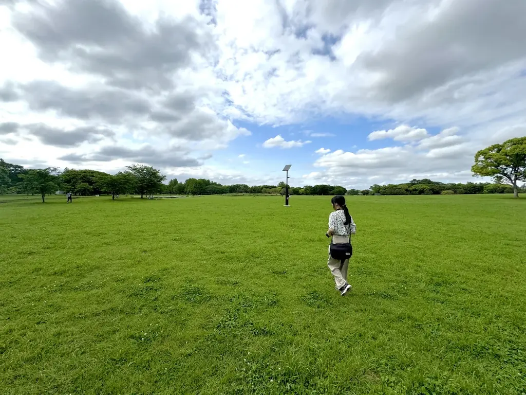 23区最大級の水郷公園『水元公園』で観光事業を公募 画像 2