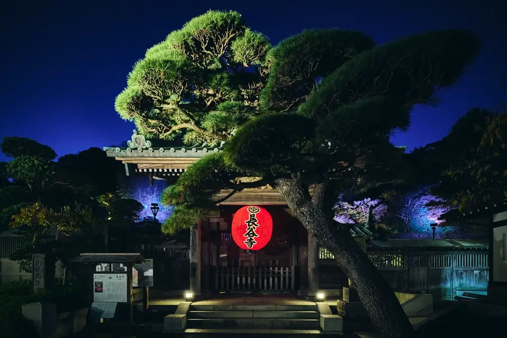 鎌倉 長谷寺 「NIGHT TABLE 2026」開催 画像 2