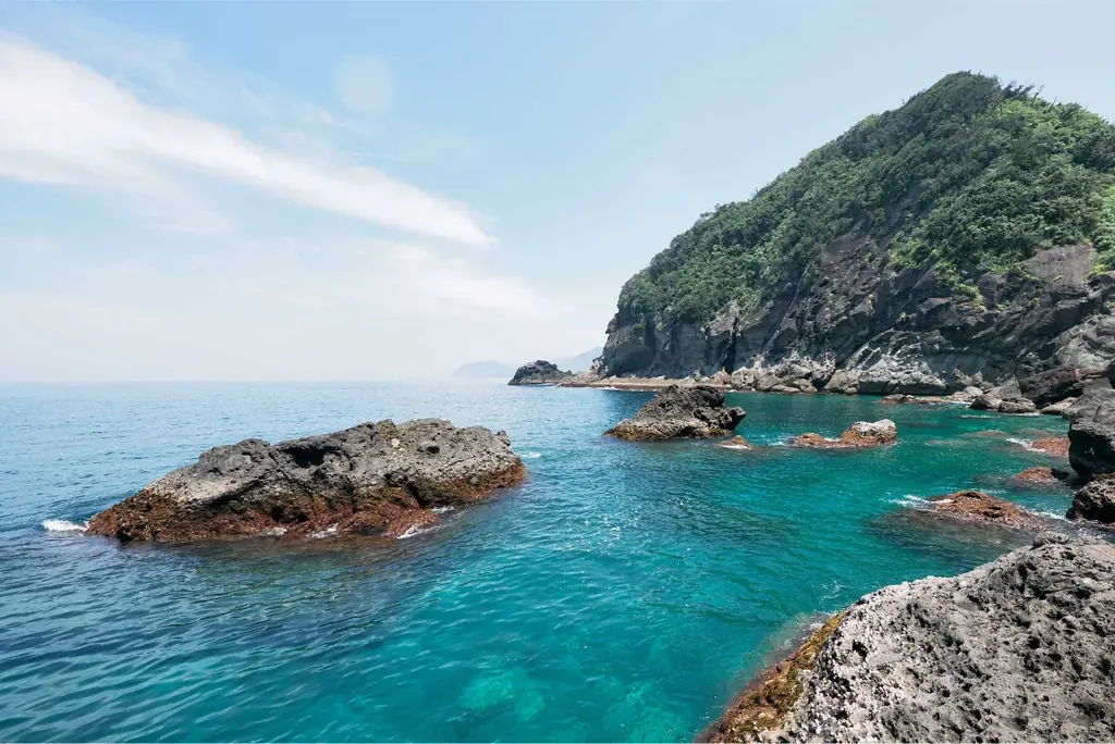 伊豆の秘境「キガシタ」で、人数限定、楽しさてんこ盛り海あそび企画を開催！ 画像 8