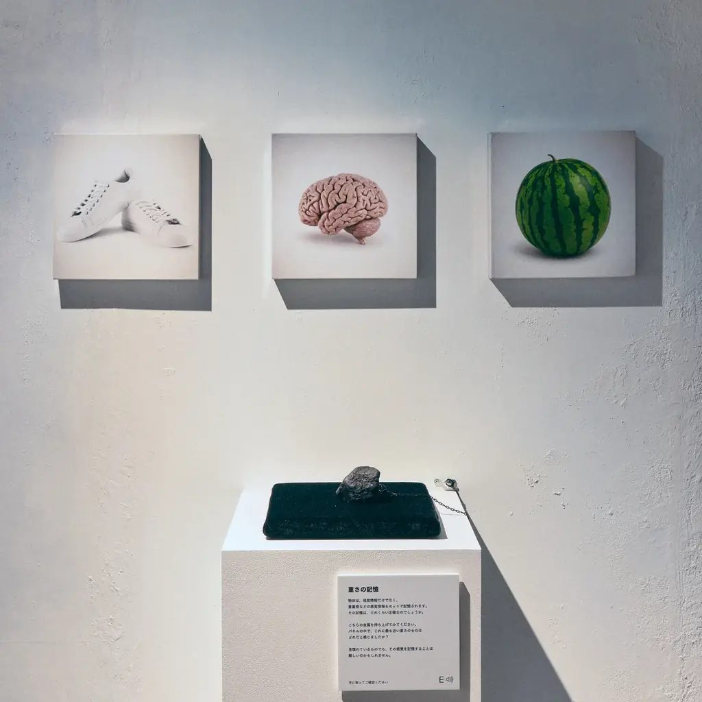 記憶のあやふやさを巡る体験型展覧会『記憶汚染展』東京・渋谷にて本日開幕 画像 3
