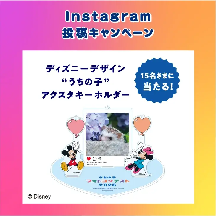 第一アイペット「うちの子フォトコンテスト2026」投稿キャンペーン開始 画像 7