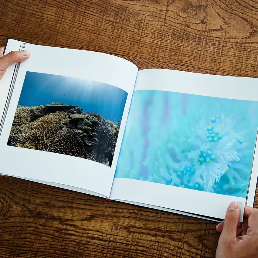 海と人、その境界を見つめ続けた探究の結晶 古見きゅう氏の写真集“TranCis (トランシス)”を発売 画像 2