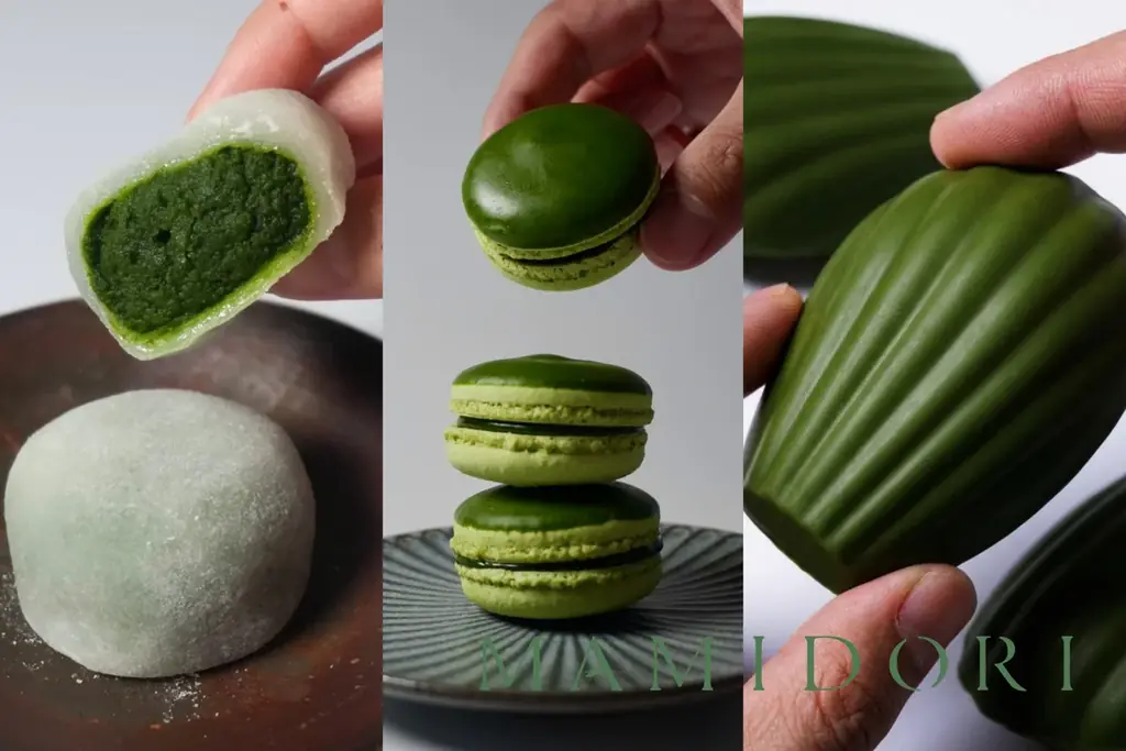 MATCHA LOVERS