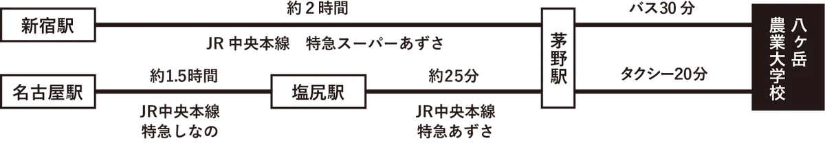 10haの花畑 赤と白のサルビアが「ほぼ満開」に！「カラーズ」も6分咲きとなり、お盆のピークへ【八ヶ岳農業大学校「YATZ GARDEN（ヤッツガーデン）」】 画像 10