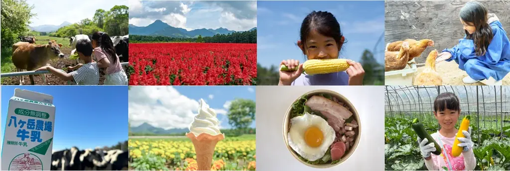 10haの花畑 赤と白のサルビアが「ほぼ満開」に！「カラーズ」も6分咲きとなり、お盆のピークへ【八ヶ岳農業大学校「YATZ GARDEN（ヤッツガーデン）」】 画像 11