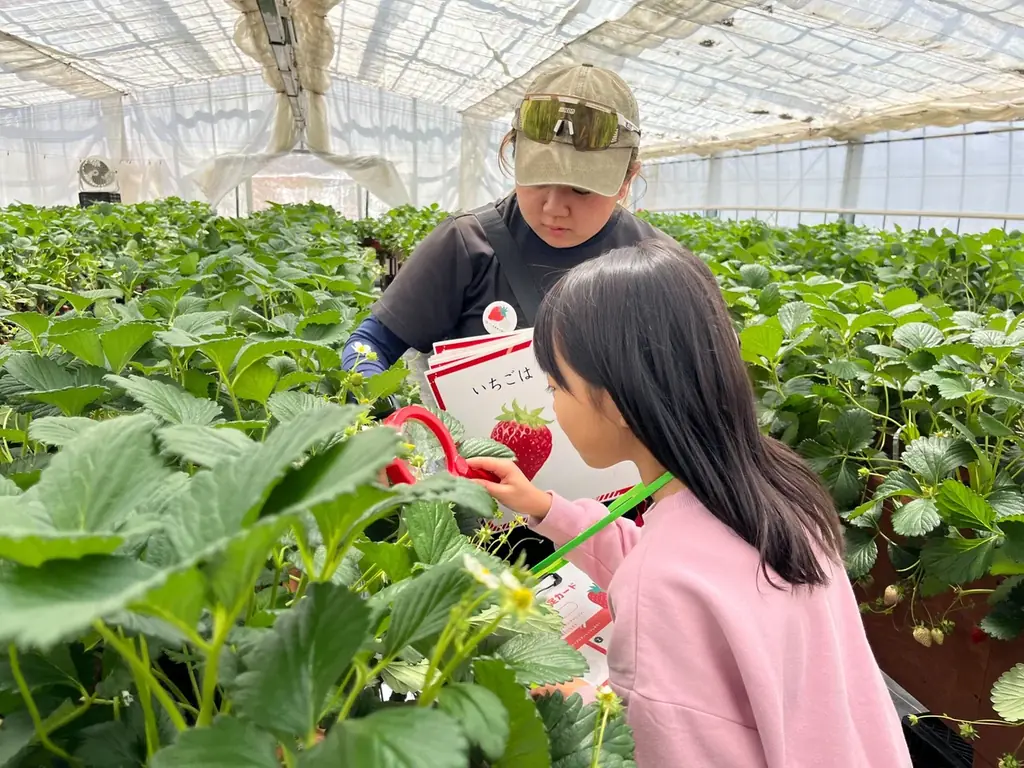 10haの花畑 赤と白のサルビアが「ほぼ満開」に！「カラーズ」も6分咲きとなり、お盆のピークへ【八ヶ岳農業大学校「YATZ GARDEN（ヤッツガーデン）」】 画像 12