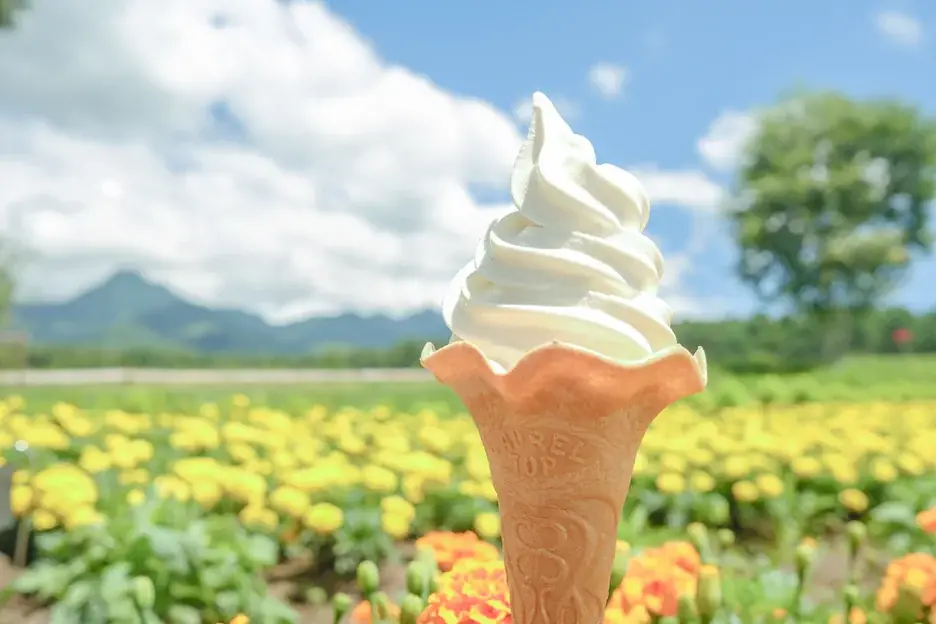 10haの花畑 赤と白のサルビアが「ほぼ満開」に！「カラーズ」も6分咲きとなり、お盆のピークへ【八ヶ岳農業大学校「YATZ GARDEN（ヤッツガーデン）」】 画像 7