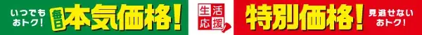 夏休みの食費負担を「本気価格」と「特別価格」で応援！ローソンストア100、8月の生活応援をスタート 画像 2