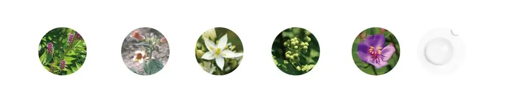 【TWANY（トワニー）】夏の“乾燥ダメージ肌”を集中ケア！ロングセラーのうるおい集中ケア美容液「シーズナルエッセンスa AW」今年も数量限定で2026年8月8日（土）より発売 画像 11