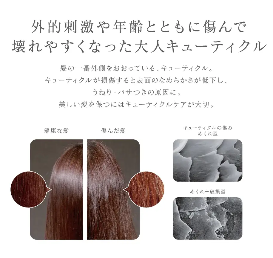 トワニーから、女性のための薬用育毛美容液が8月8日（土）に新登場。3種の有効成分配合。地肌から、太く長く美しい髪を育む。 画像 2
