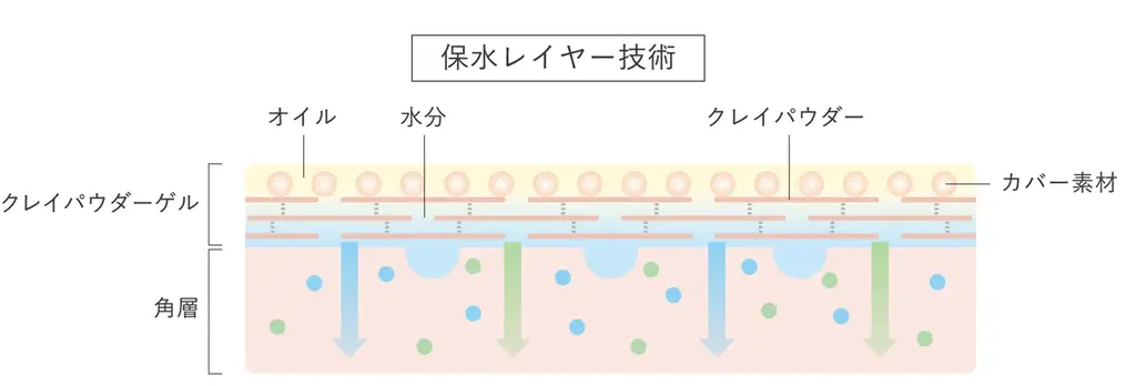 自分らしい美しさを引き立てる、化粧ノリがいい肌へ。スキンケア技術から生まれた、進化型*¹美容液ファンデーション「リサージ カラーメインテナイザー」が2026年9月5日（土）新発売 画像 9