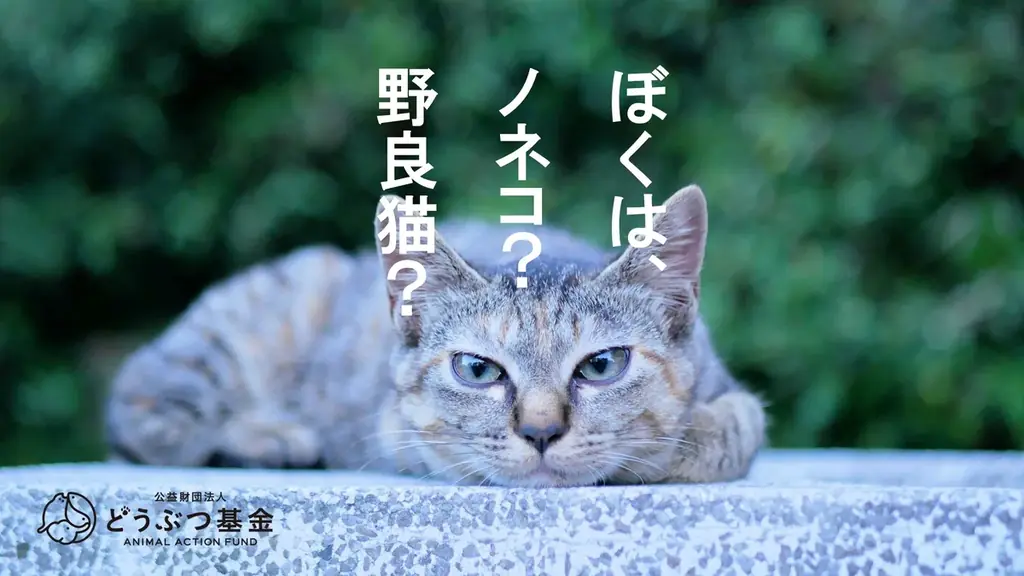 8月7日決定へ　ノネコ掲載維持の是非をめぐる議論