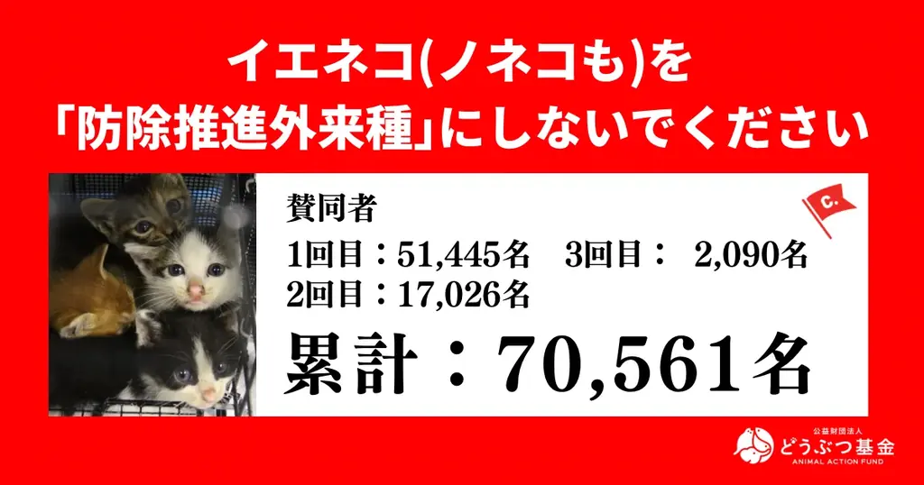環境省「イエネコ,イヌ」掲載撤回へ　どうぶつ基金がノネコ・ノイヌ全ての除外を要望 画像 2