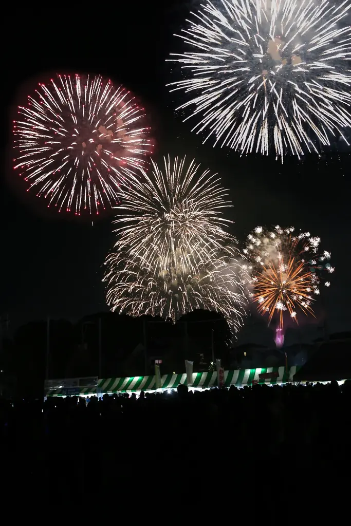 第50回「なかがわ市民の祭り」 開催のお知らせ 画像 9