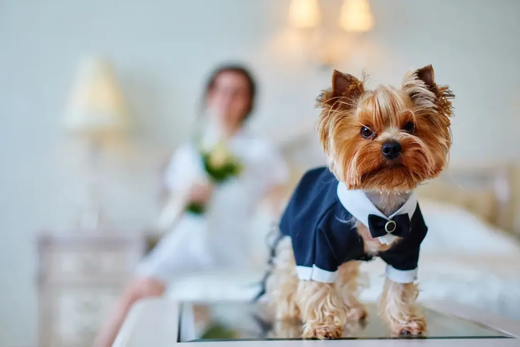 8月29日開催　愛犬と叶えるニューオータニの結婚式体験