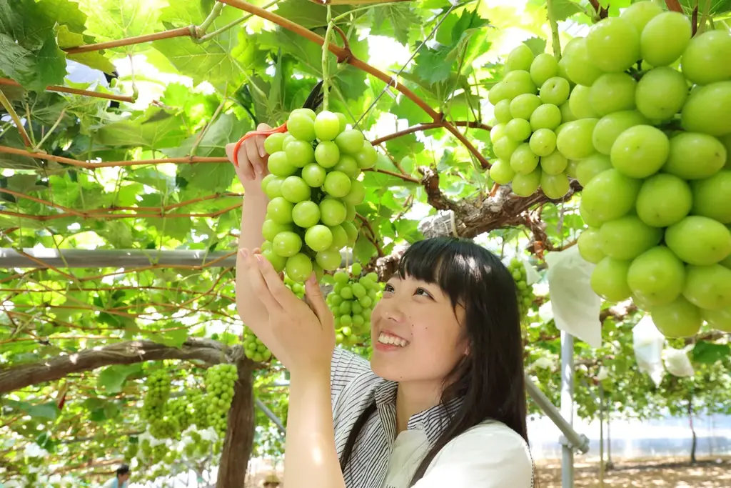 8/22開催 うらじゃ祭で巡る岡山の夏秋旅ガイド