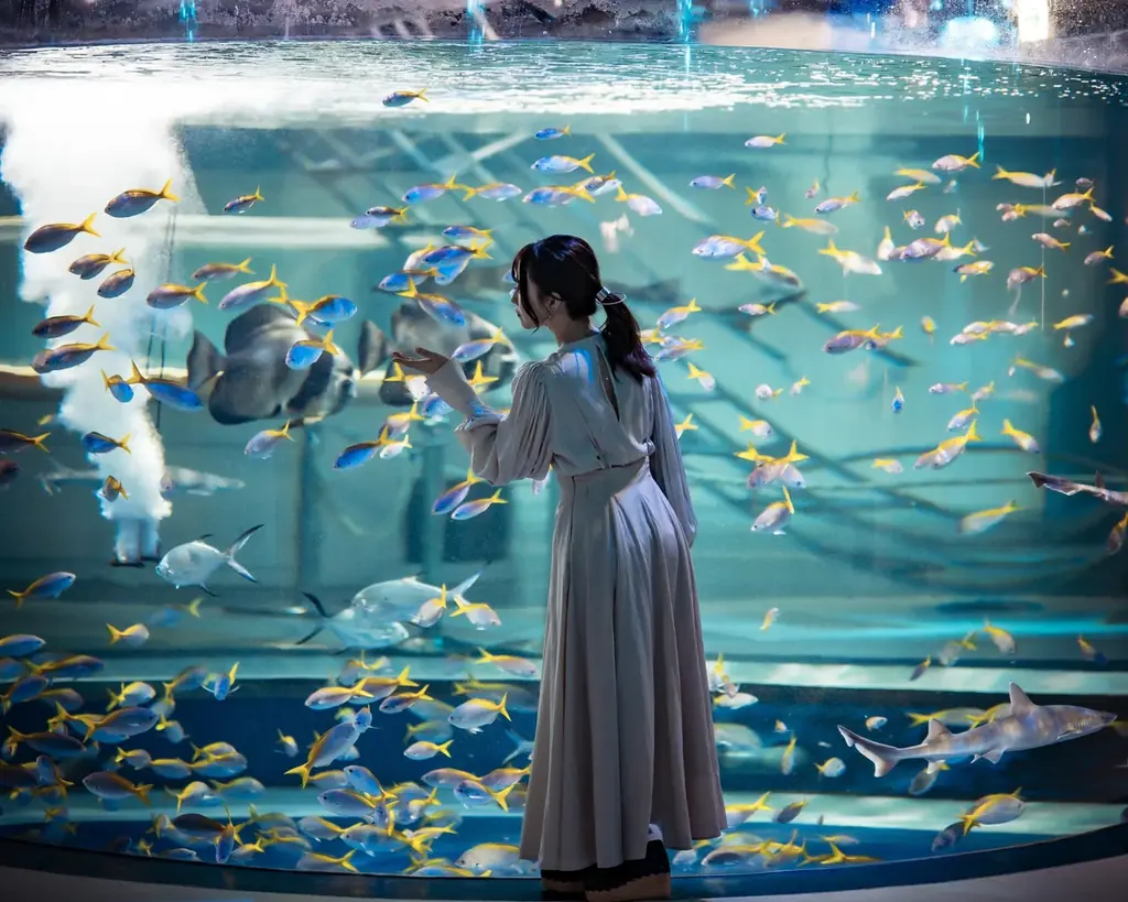AQUARIUM×ART átoa × 神戸六甲ミーツ・アート2026 beyond　今年も神戸がアートに染まる秋現代アートと水族館を一度に楽しむ入場セット券、販売！ 画像 4