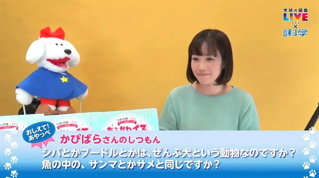 【親子向け無料オンライン配信】「博物館から生中継　トーハク研究者とはにわ大好き会議！」開催！ 画像 2