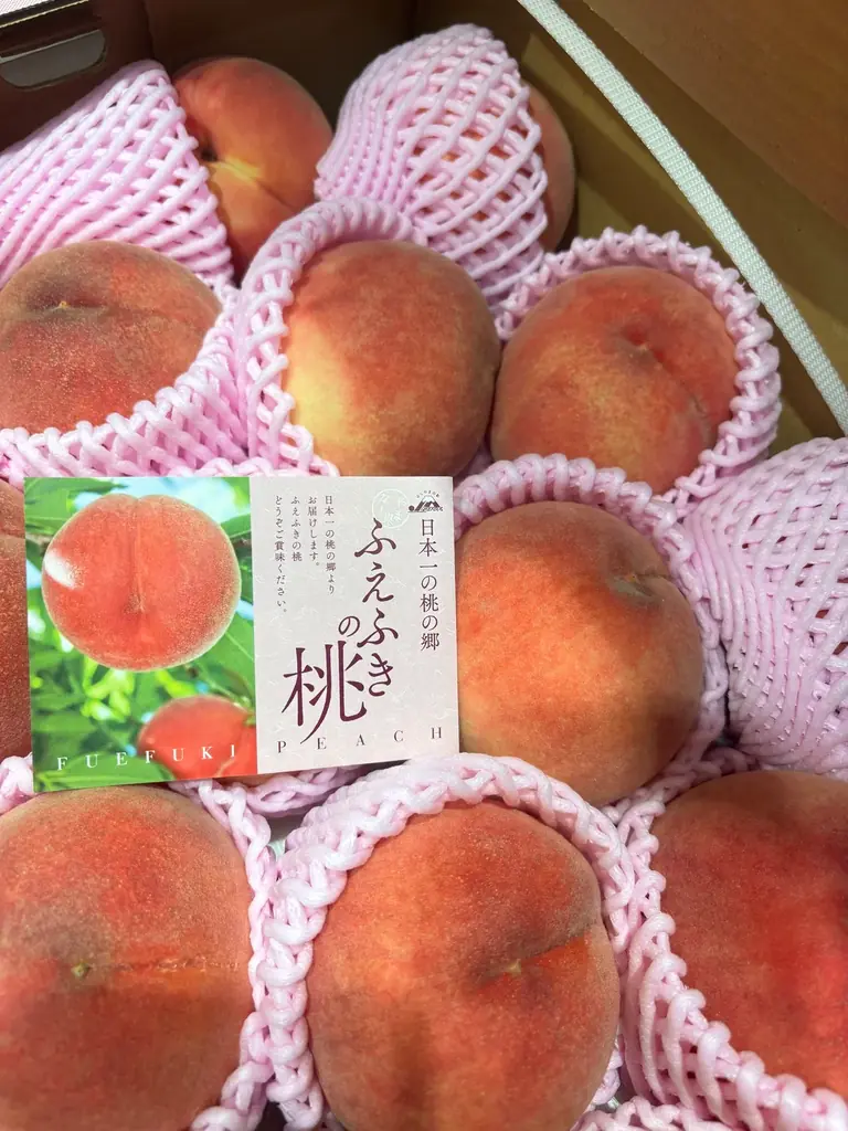 【カフェコムサ】創業30周年を彩る記念ケーキ第三弾、山梨県笛吹市(JAふえふき)産 桃「一桃匠」(いっとうしょう)のケーキを展開！ 画像 3