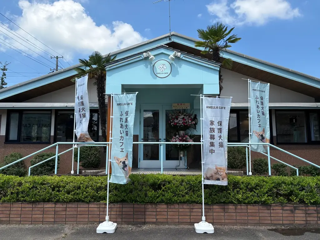 保護犬猫と触れ合えるANELLA CAFE新発田店開店