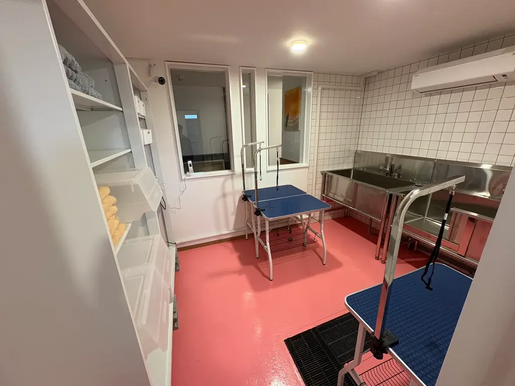 【新潟県初陸上！】全国41店舗を達成した「ANELLA CAFE」が新発田市に誕生！保護犬猫と心通う癒やしスペースが8月8日(土)オープン！ 画像 10