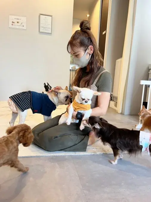 【新潟県初陸上！】全国41店舗を達成した「ANELLA CAFE」が新発田市に誕生！保護犬猫と心通う癒やしスペースが8月8日(土)オープン！ 画像 3