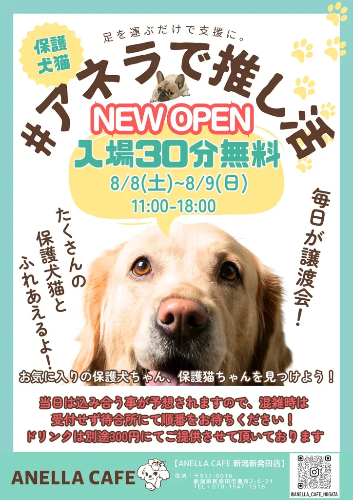【新潟県初陸上！】全国41店舗を達成した「ANELLA CAFE」が新発田市に誕生！保護犬猫と心通う癒やしスペースが8月8日(土)オープン！ 画像 7