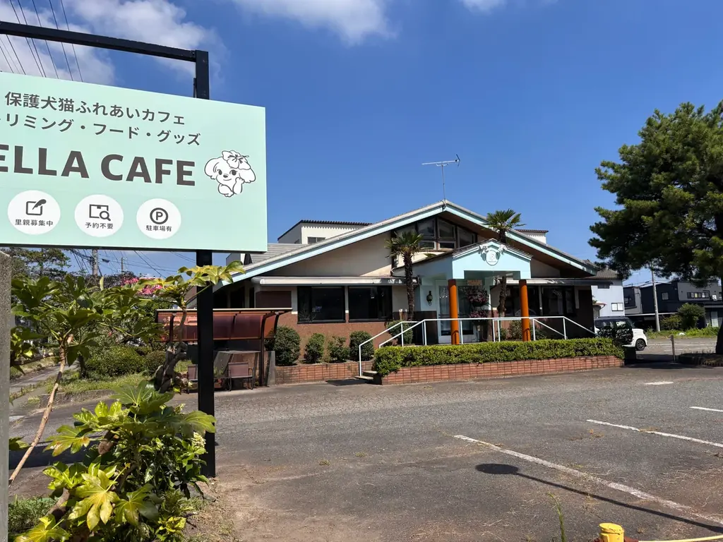 【新潟県初陸上！】全国41店舗を達成した「ANELLA CAFE」が新発田市に誕生！保護犬猫と心通う癒やしスペースが8月8日(土)オープン！ 画像 9