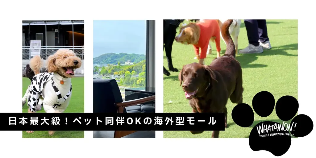 猛暑でも大型犬と快適に遊べる。WHATAWONが室内イベント「ワン上等Fes Summer Party」を8月29日開催 画像 11