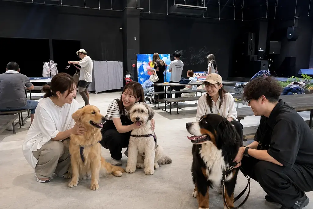 猛暑でも大型犬と快適に遊べる。WHATAWONが室内イベント「ワン上等Fes Summer Party」を8月29日開催 画像 4