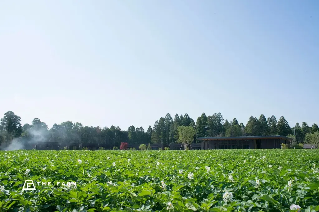 【8月31日は「野菜の日」】農園リゾートTHE FARM、日頃の感謝を込めた1泊朝食付きプランを大人・小学生1名8,310円で限定販売 画像 2