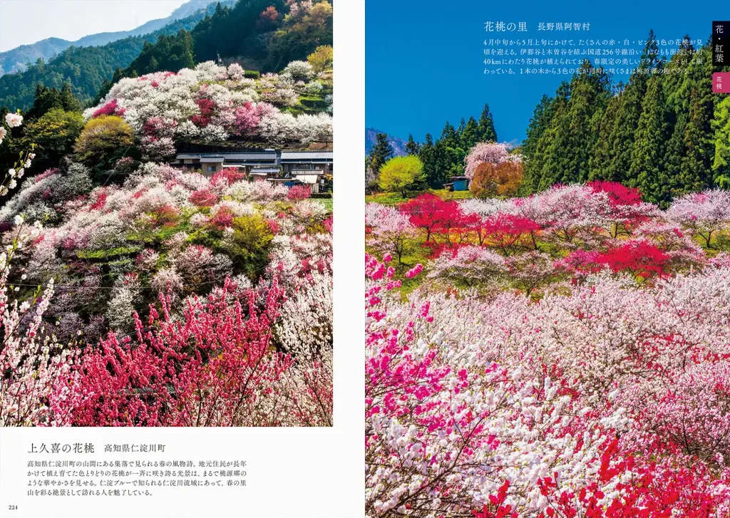 「風景写真としての美しさ」を基準にセレクトした、選りすぐりの絶景写真500点を収録『日本の絶景500 テーマ別風景写真』8月21日発売 画像 4