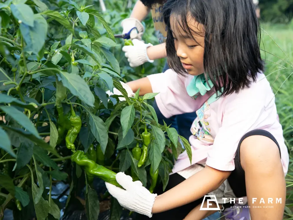 【9月平日限定】3歳～未就学児の宿泊料が無料。農園リゾートTHE FARMが「夏休み延長戦！」を実施|千葉・香取 画像 19