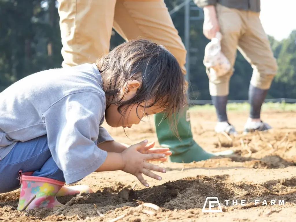 【9月平日限定】3歳～未就学児の宿泊料が無料。農園リゾートTHE FARMが「夏休み延長戦！」を実施|千葉・香取 画像 2