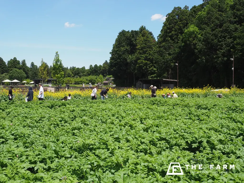【9月平日限定】3歳～未就学児の宿泊料が無料。農園リゾートTHE FARMが「夏休み延長戦！」を実施|千葉・香取 画像 20