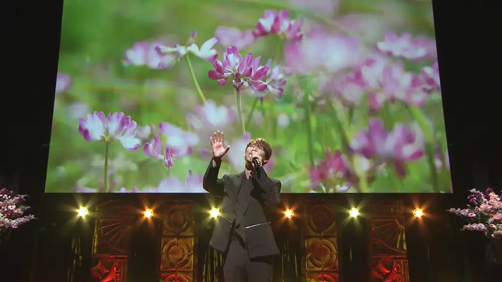 【ＢＳ日テレ】『そのとき、歌は流れた～時代を彩った昭和名曲～』 ８月１３日（木）よる９時放送！「昭和＆平成　大切な人を想う名曲特集！ 画像 4