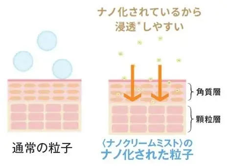 待望の定番化！お客様の声に応えて、大人気〈ナノクリームミスト〉が通年販売決定 画像 3