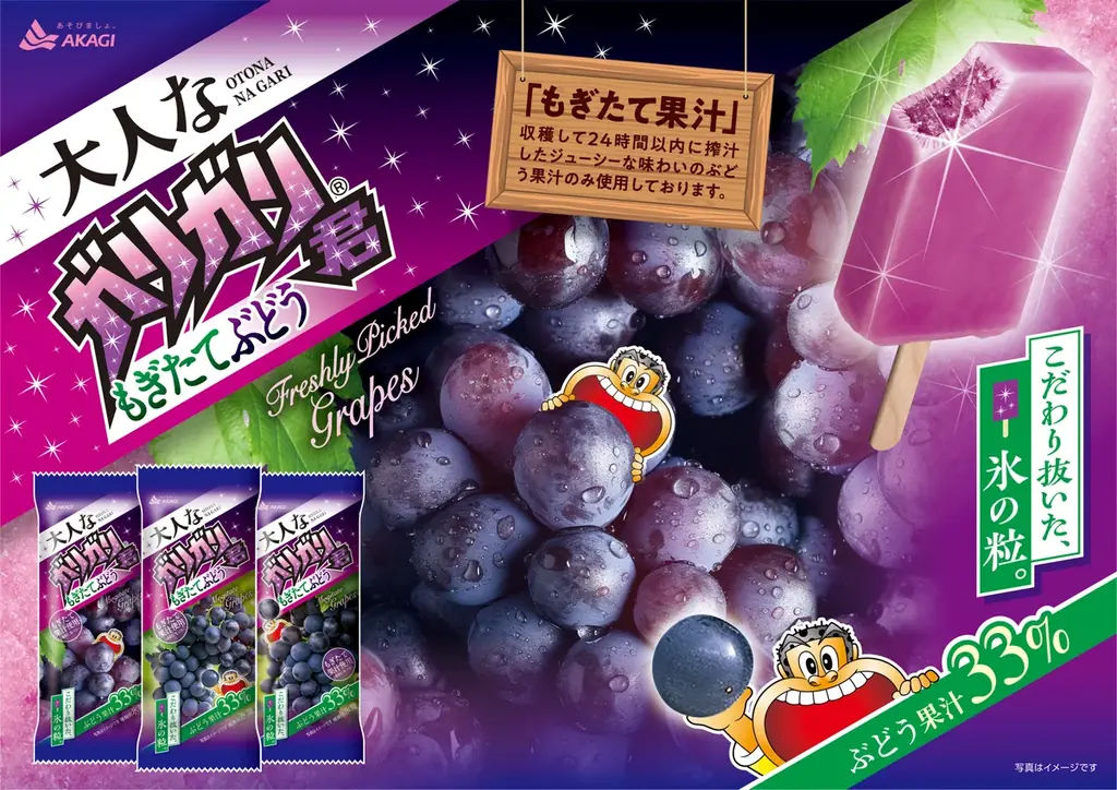 大人なガリガリ君発売