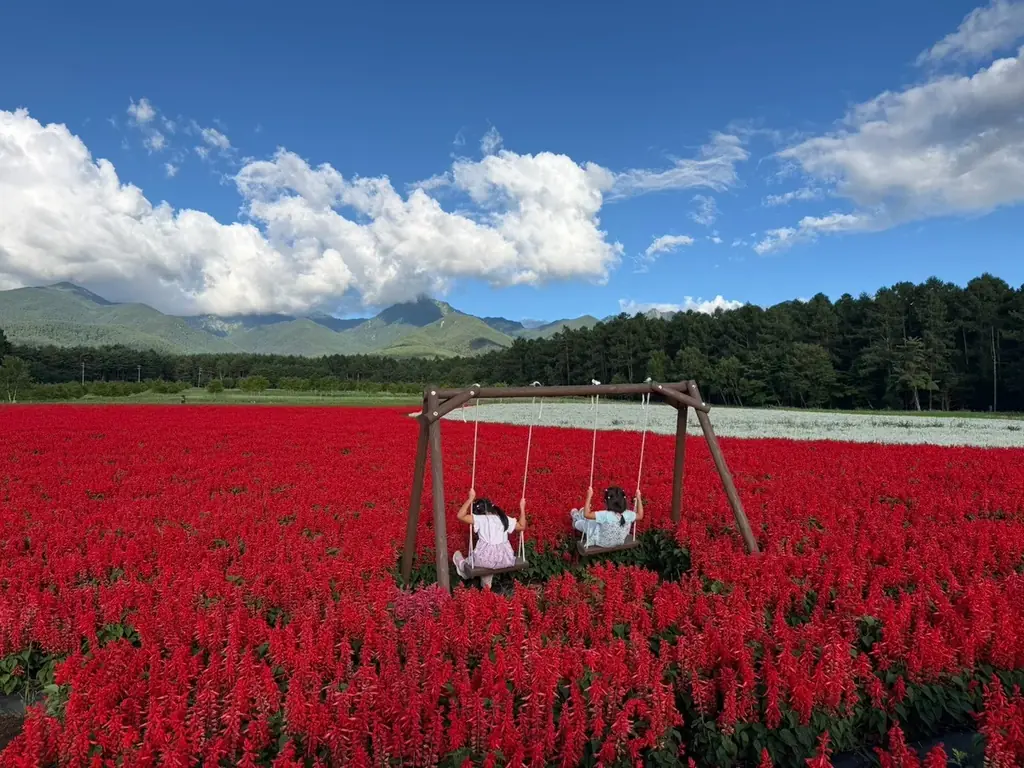 10haの花畑で1日の来場者数が1万人を突破！台風による旅行先変更の駆け込み需要にも対応、涼やかな高原へ【「YATZ GARDEN」（ヤッツガーデン）八ヶ岳農業大学校】 画像 8