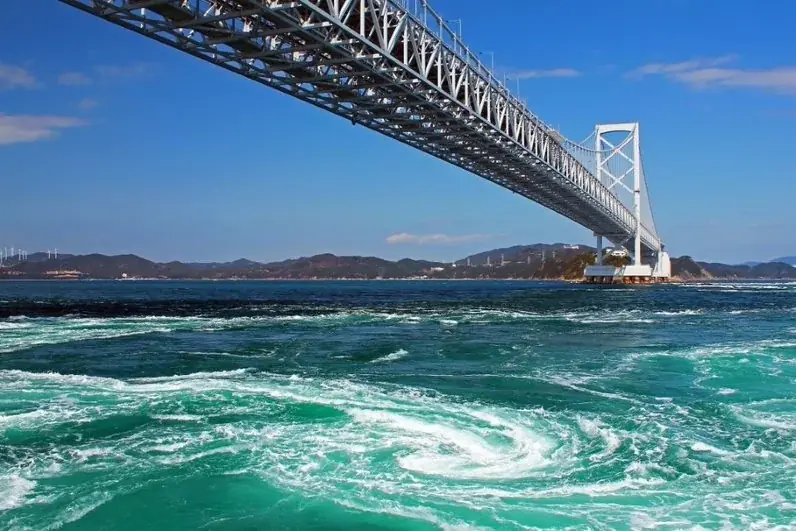 海を望む絶景ホテル☆徳島ブランド【なると金時収穫体験】秋の日帰り旅♪ 芋掘り×郷土料理バイキング×鳴門温泉 画像 27