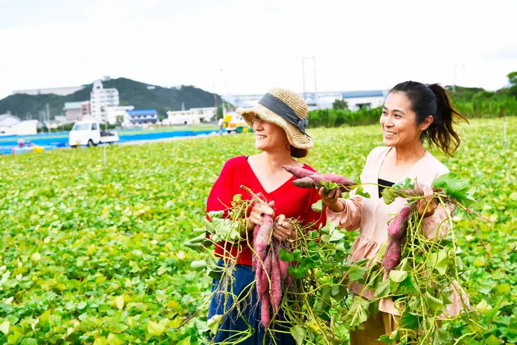海を望む絶景ホテル☆徳島ブランド【なると金時収穫体験】秋の日帰り旅♪ 芋掘り×郷土料理バイキング×鳴門温泉 画像 3
