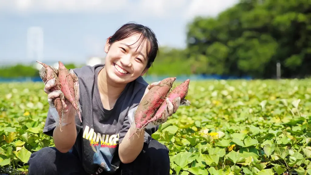 海を望む絶景ホテル☆徳島ブランド【なると金時収穫体験】秋の日帰り旅♪ 芋掘り×郷土料理バイキング×鳴門温泉 画像 9