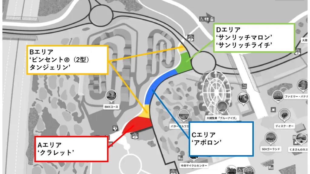 バラエティに富んだヒマワリたち、見頃を迎えました（国営ひたち海浜公園） 画像 7