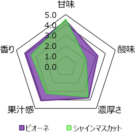 「一粒の極上体験」日本一のピオーネ産地・岡山県びほくエリアのピオーネをご堪能ください！ 画像 6