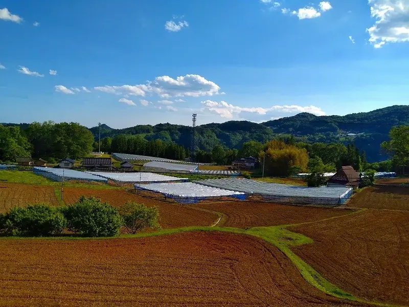 「一粒の極上体験」日本一のピオーネ産地・岡山県びほくエリアのピオーネをご堪能ください！ 画像 9