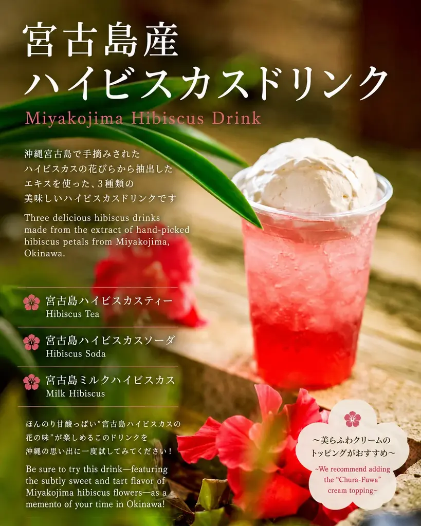 「UECHIYA CAFÉ」が、わしたショップ国際通り店で最高売上を記録！“黒糖なのに白い”沖縄県産の和三盆糖を使った「美らふわクリームぜんざい」 画像 13