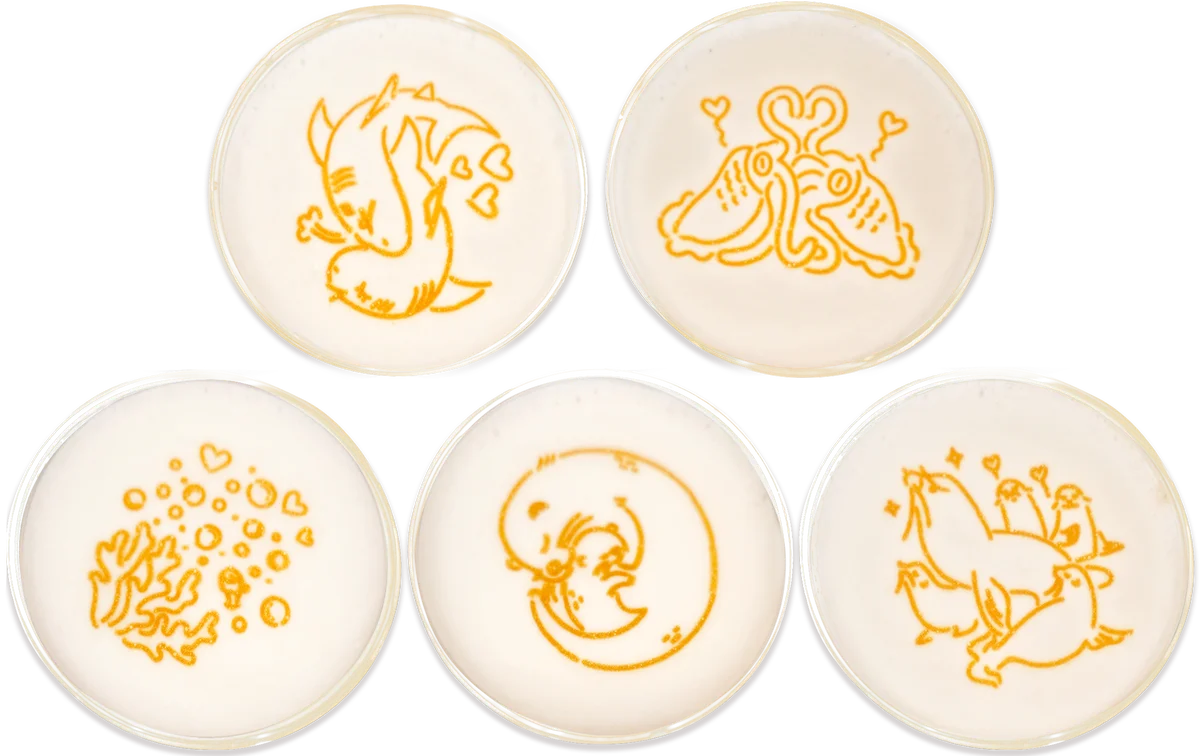 【詳細情報解禁】サンシャイン水族館 夜間特別営業 まだまだ♡性いっぱい展2026年 9月11日（金）～11月3日（火・祝） 画像 13