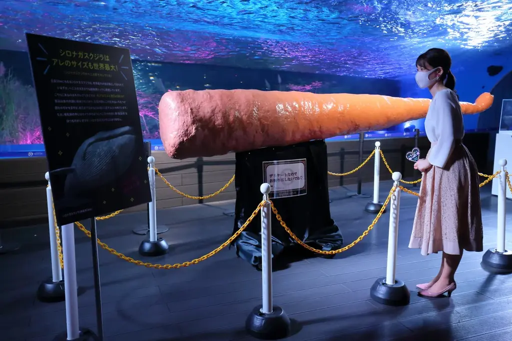 【詳細情報解禁】サンシャイン水族館 夜間特別営業 まだまだ♡性いっぱい展2026年 9月11日（金）～11月3日（火・祝） 画像 3